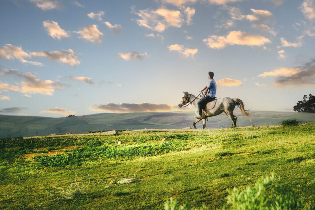 horseback rider