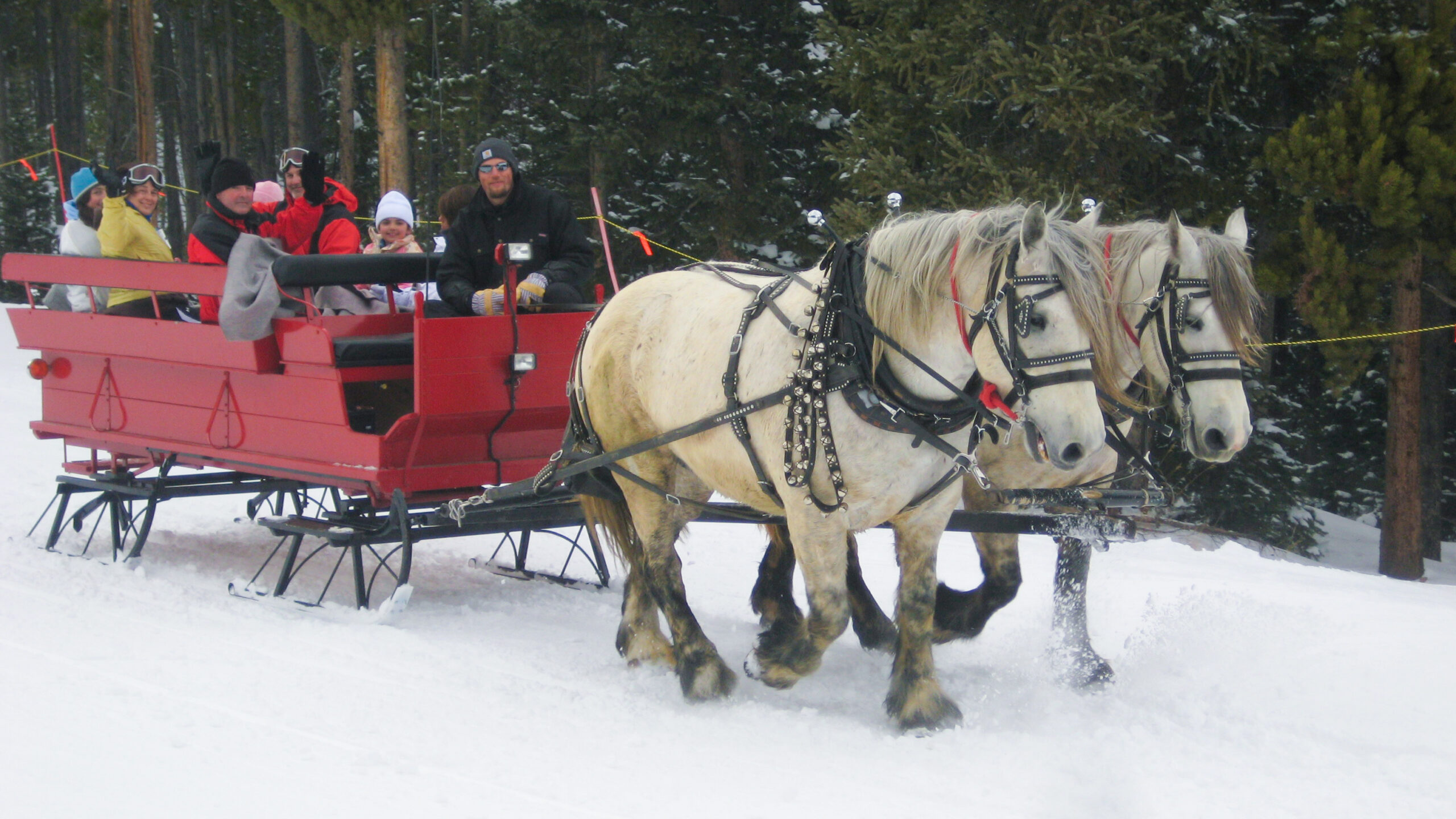 people on sleigh ride
