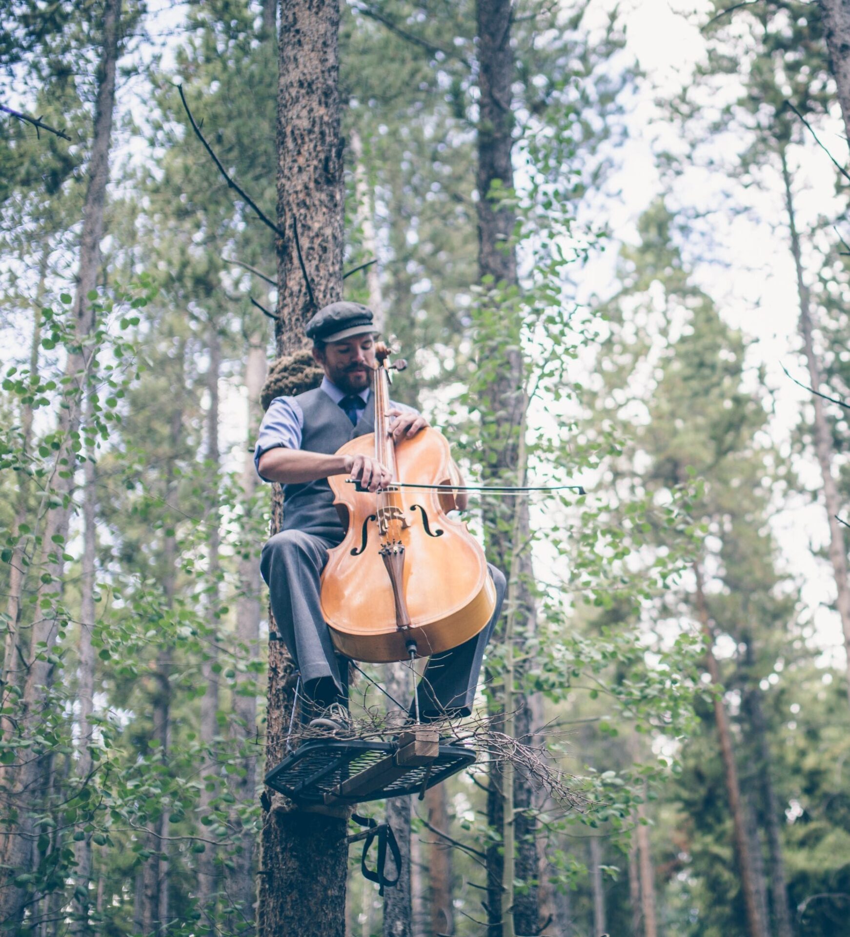 man playing Cello in a tree