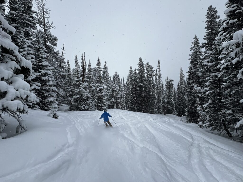 skier riding powder in the trees