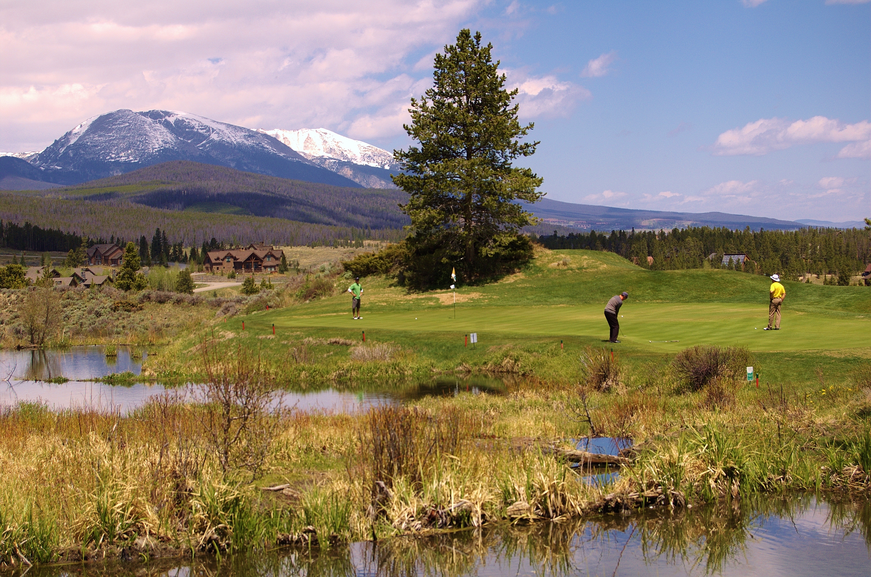people on the green playing golf