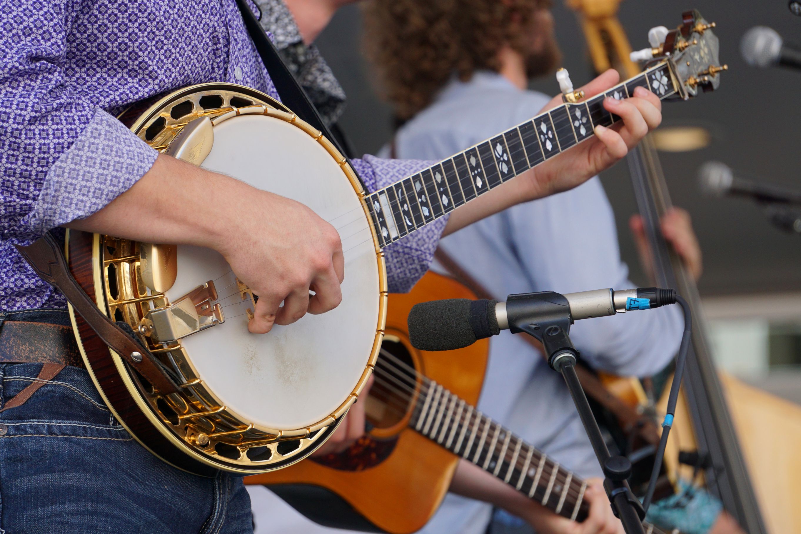blue grass and beer people playing banjos