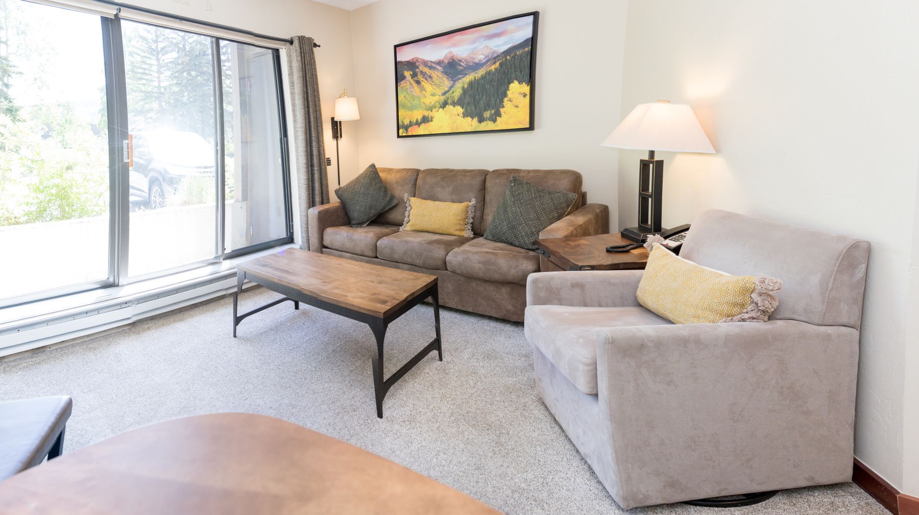 studio living room and couch