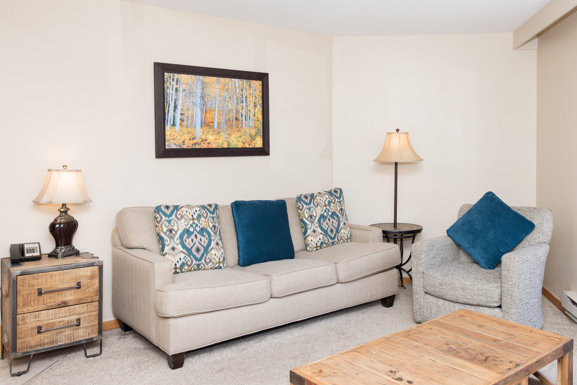 colorado suite living room
