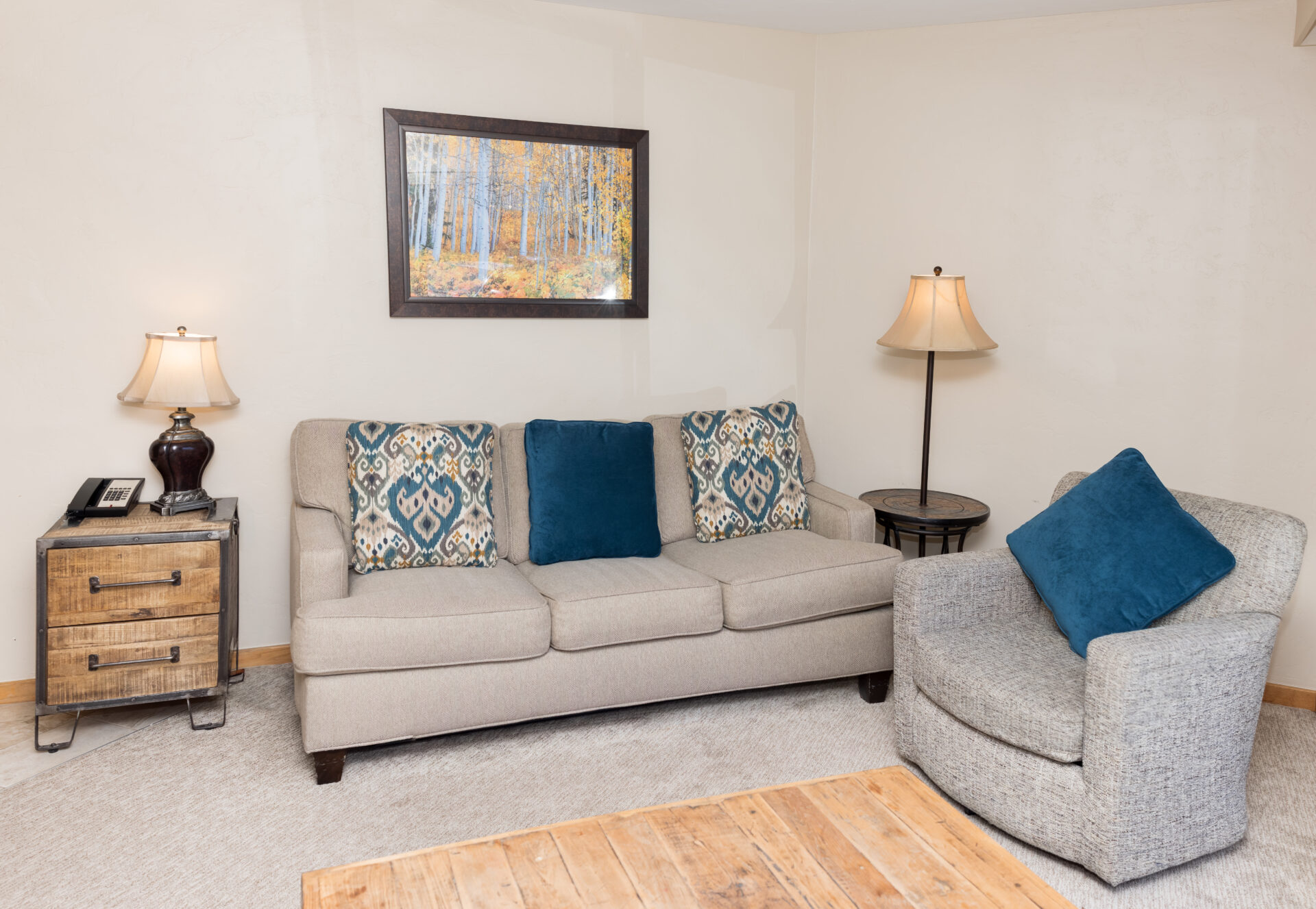 colorado suite living room